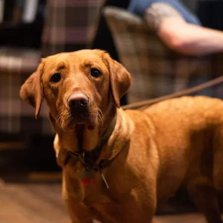 The King's Head - The Collection Group 3* 大艾顿