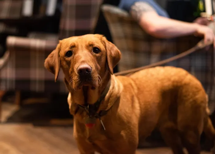 The King's Head - The Collection Group 3* 大艾顿